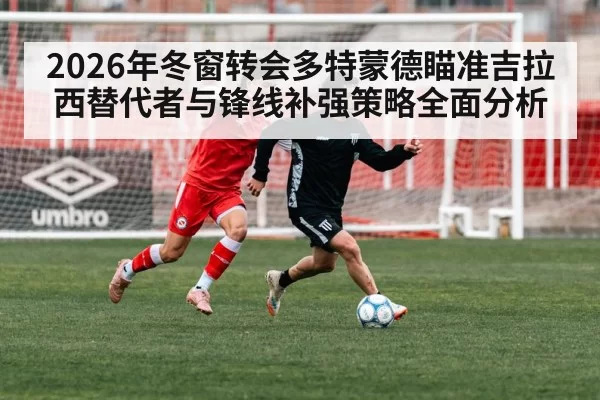 2026年冬窗转会多特蒙德瞄准吉拉西替代者与锋线补强策略全面分析